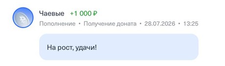 Донат +1 000 ₽, 28.07.2026, 13:25, На рост, удачи!
