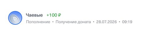Донат +100 ₽, 28.07.2026, 09:19