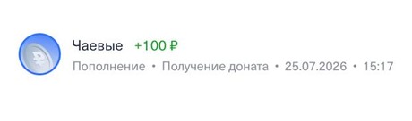 Донат +100 ₽, 25.07.2026, 15:17