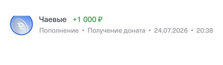 Донат +1 000 ₽, 24.07.2026, 20:38