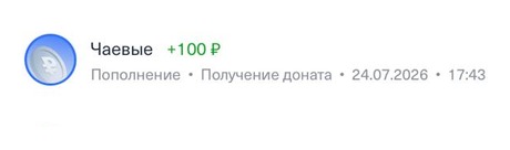 Донат +100 ₽, 24.07.2026, 17:43