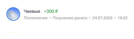 Донат +300 ₽, 24.07.2026, 16:22